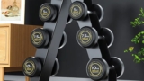Colourful-Flybird-Dumbbells-4