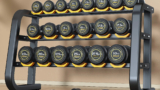Colourful-Flybird-Dumbbells-5