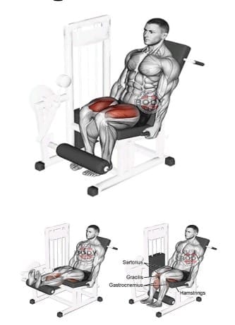 Ventajas de la máquina de extensión de piernas
