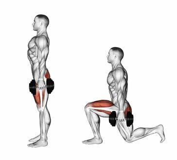 Lunges with dumbbells. Exercising for bodybuilding. Target muscles are marked in red. Initial and final steps. 3D illustration