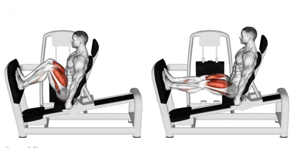 Leg-Press-Machine-2