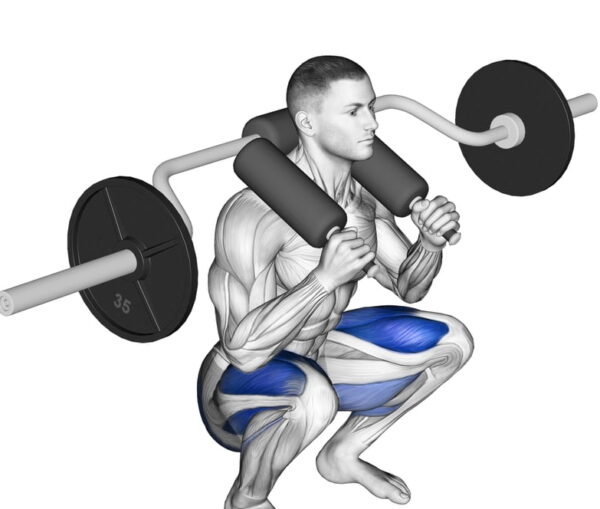 Safety-Bar-Squats