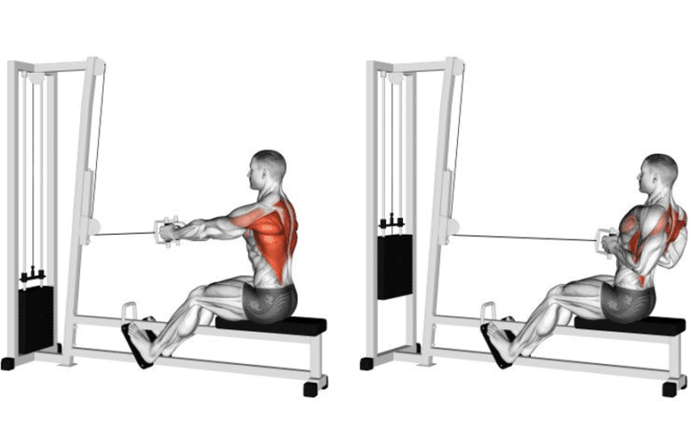 Top 11 Pull-Up Alternatives: Exercises You Can Do Without a Bar