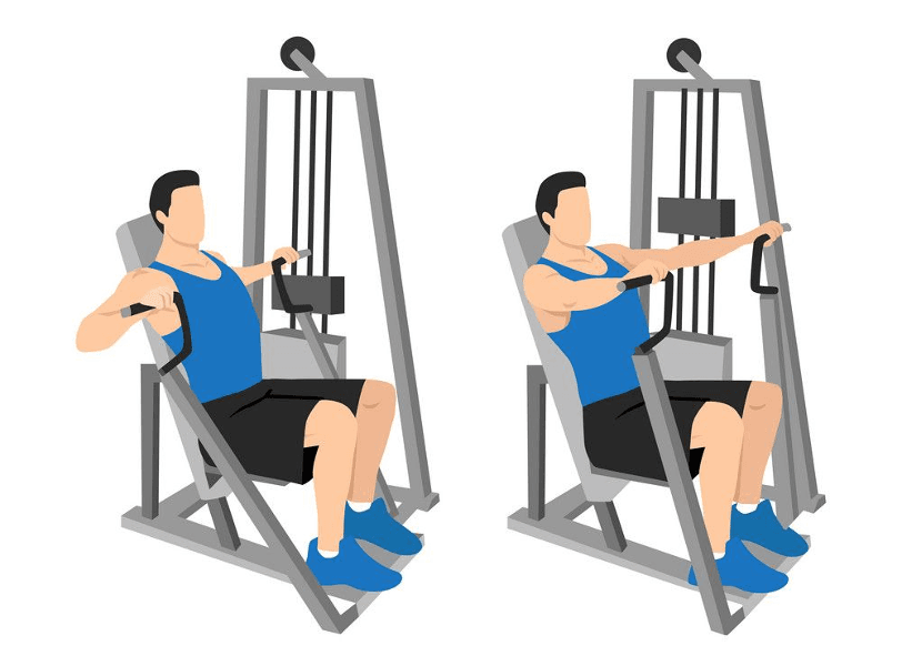 Chest Press Machine Names Types 8 Best Chest Machines for a Defined and Powerful Chest