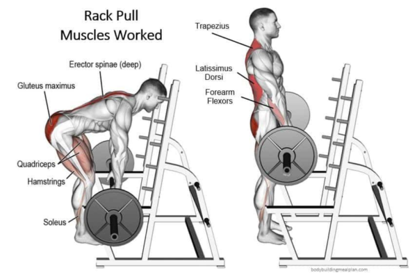 Benefits-of-Rack-Pulls