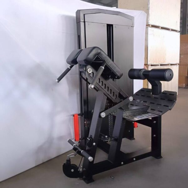 équipement pour l'extension du dos-1