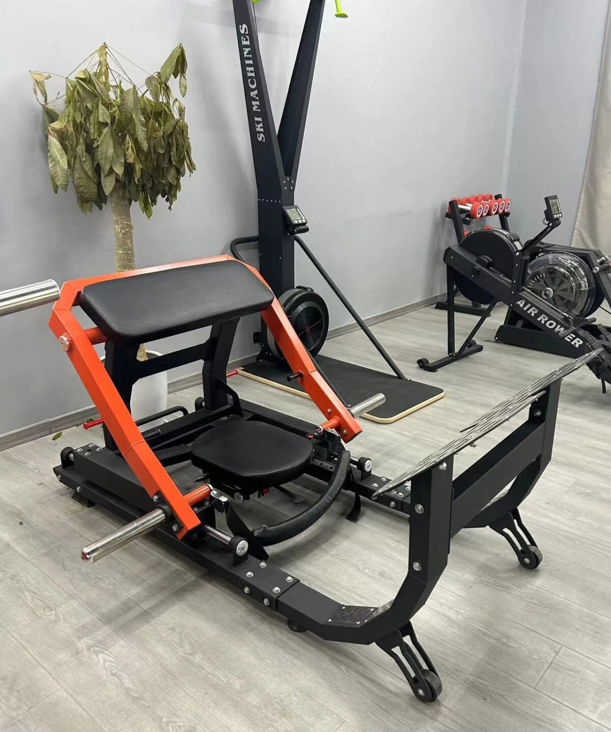 Best Hip Bridge Machine | HSE Fitness