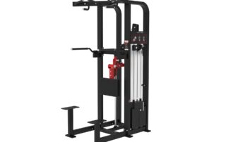 hm009-assisted dip machine