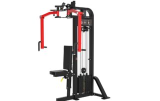 rear delt flyes machine