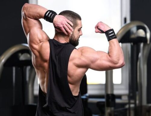 Best Long Head Bicep Exercises for Muscle Growth