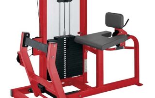 Seated Calf Machine