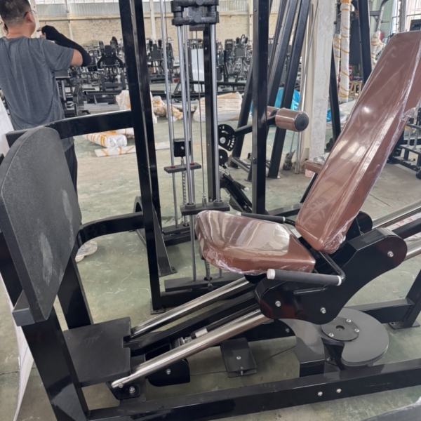 selectorized leg press 1