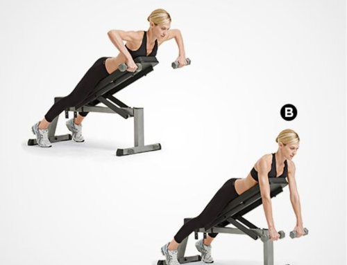 Beginner to Pro: Pull Day Exercises List You Will Love