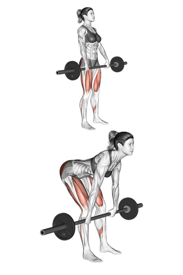 Deadlifts