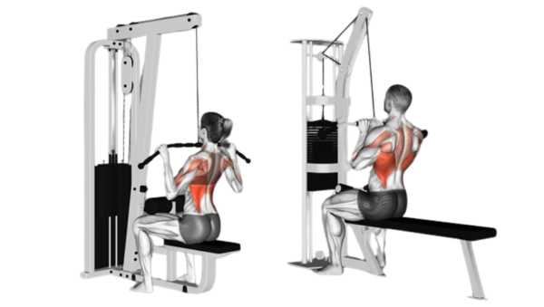 Lat Pulldowns