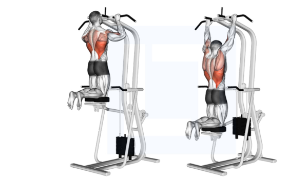 Pull-Ups (Assisted or Bodyweight)