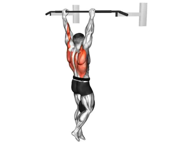 Weighted Pull-Ups
