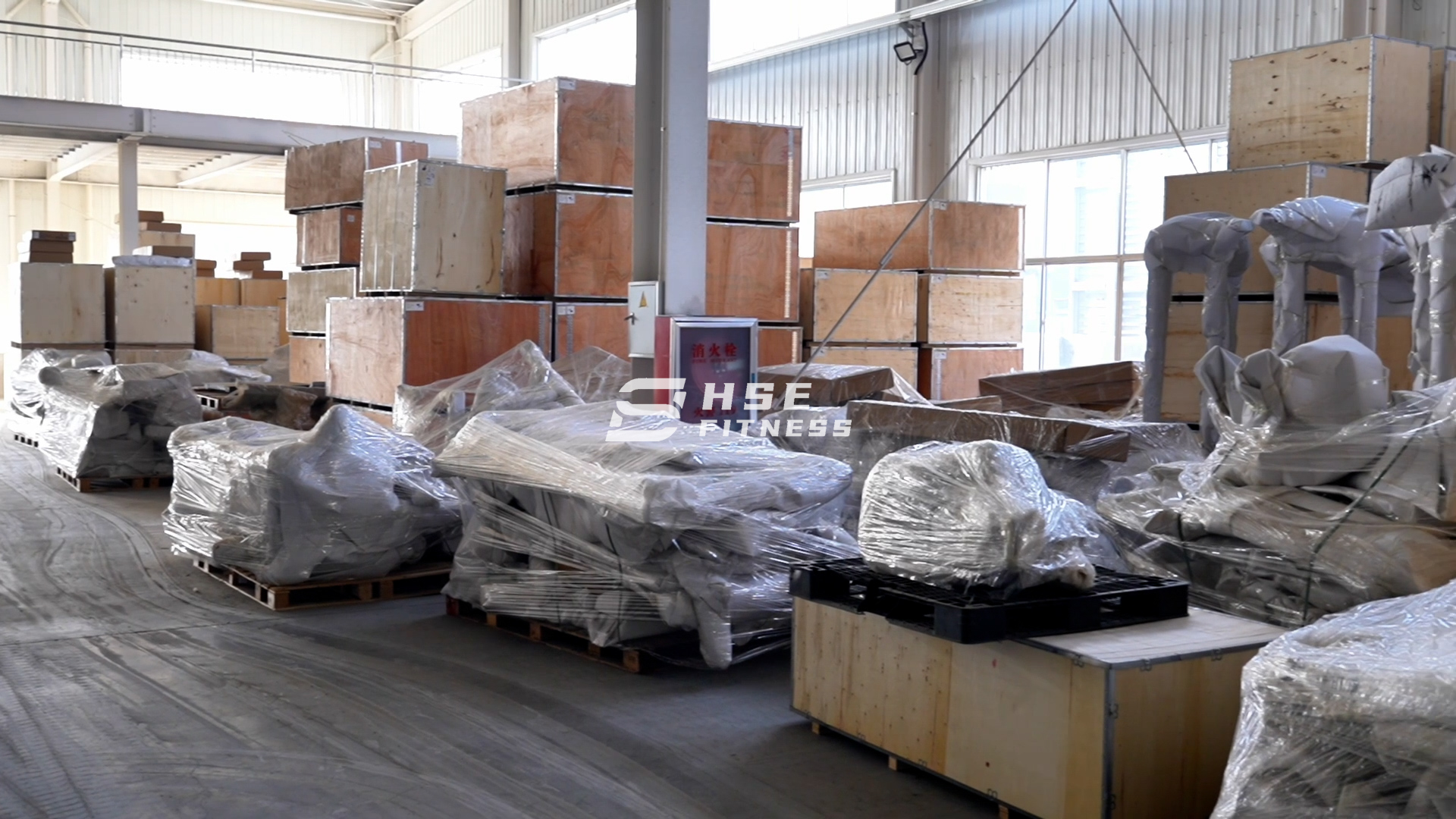 Finished Goods Inventory