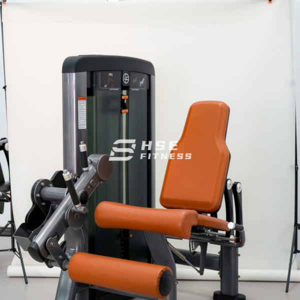 Leg Extension machine-L-17