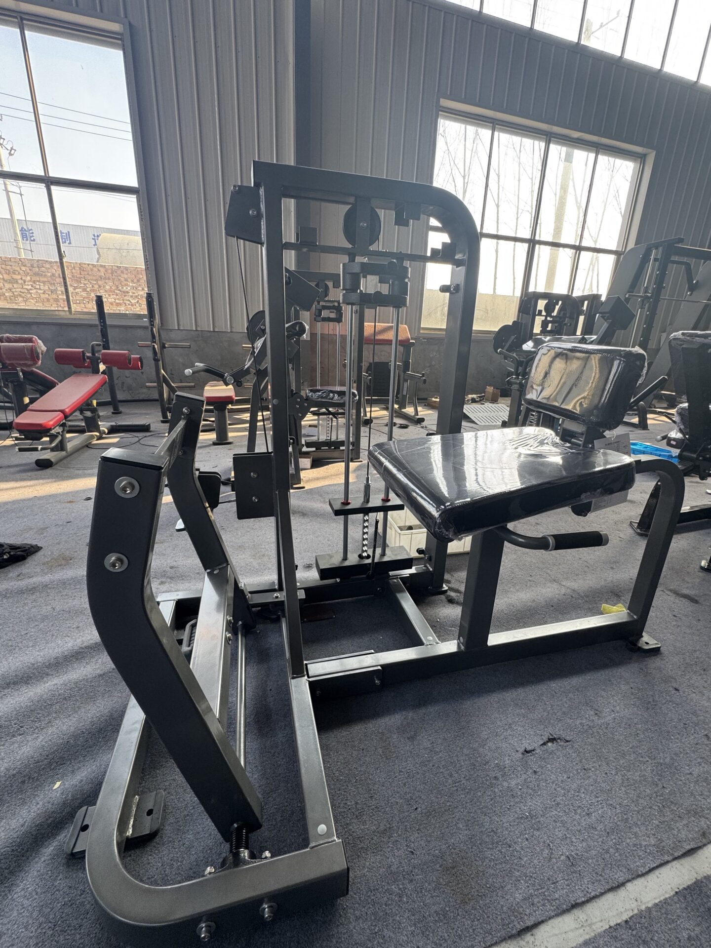 Seated Calf Machine 1