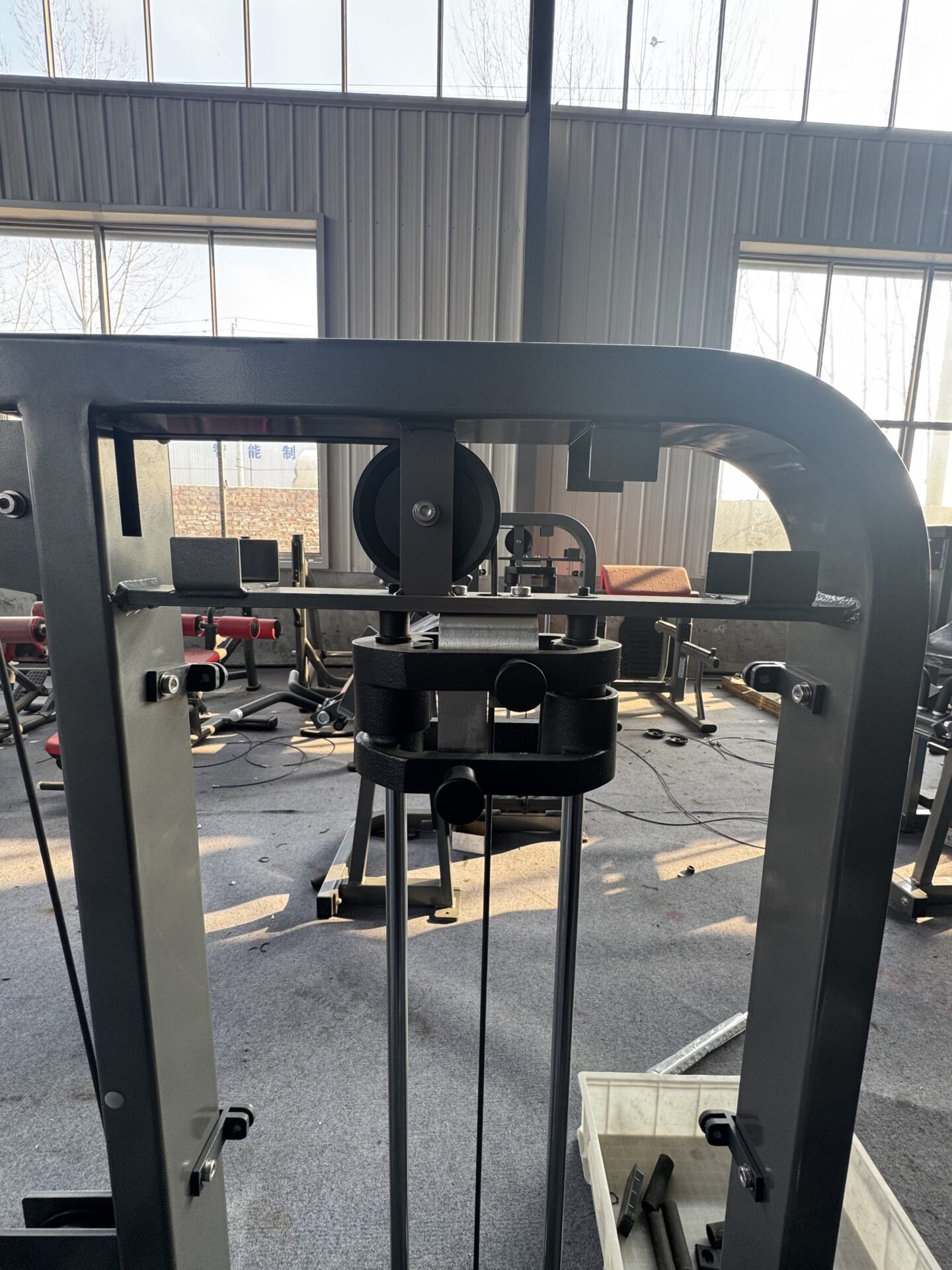 Seated Calf Machine 2