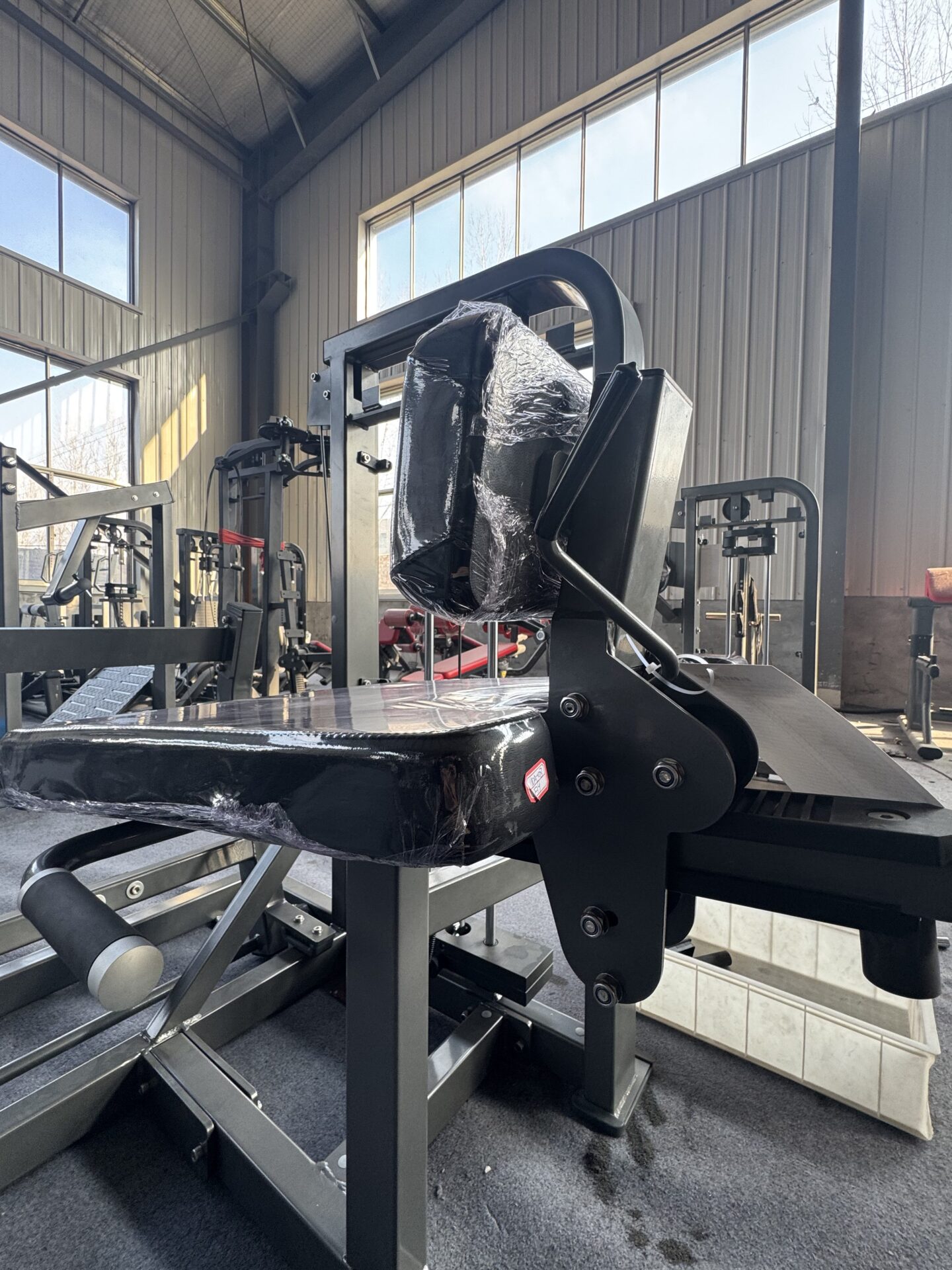 Seated Calf Machine 3