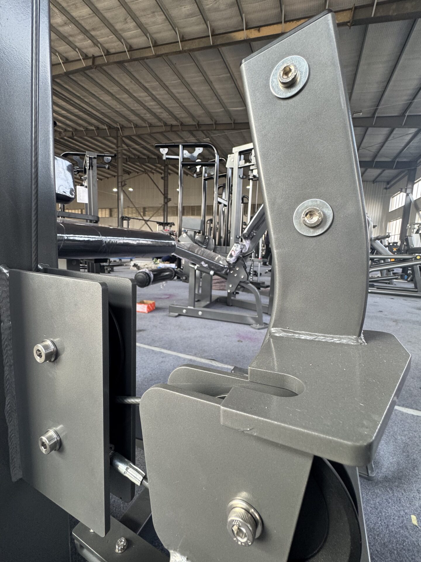 Seated Calf Machine 5