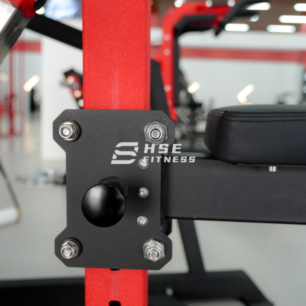 Seated Lateral Raises-ASN-2