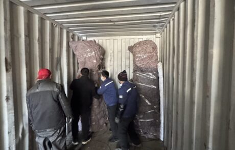 Argentina gym case 6