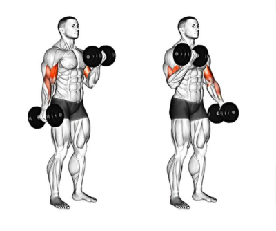 Bicep Curls