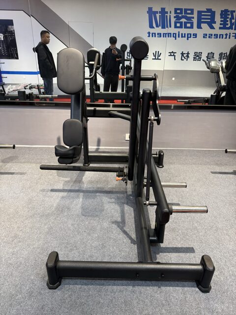 HSE-205 Pendulum Kick Back1