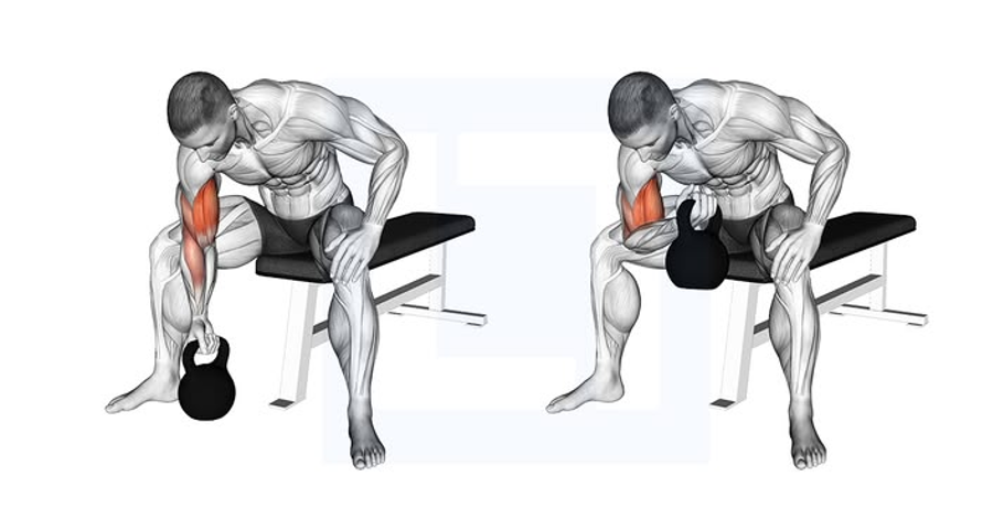 bicep short head workout 3