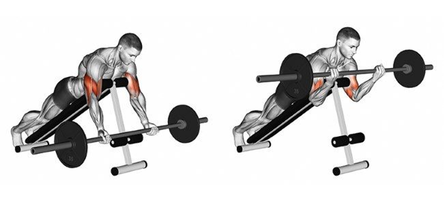 bicep short head workout 5
